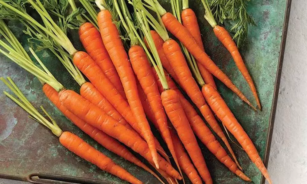 When Is National Carrot Day