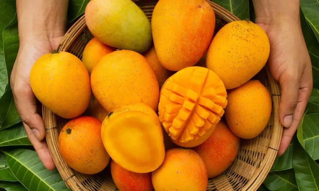 When Is National Mango Day