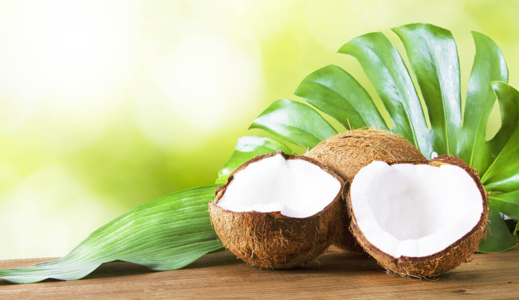 When Is National Coconut Day