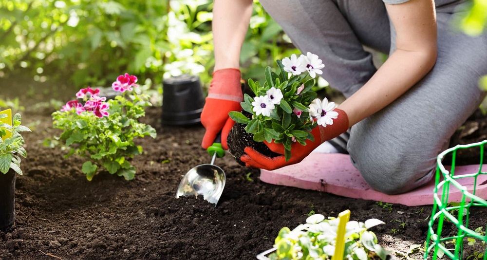 When Is National Gardening Day