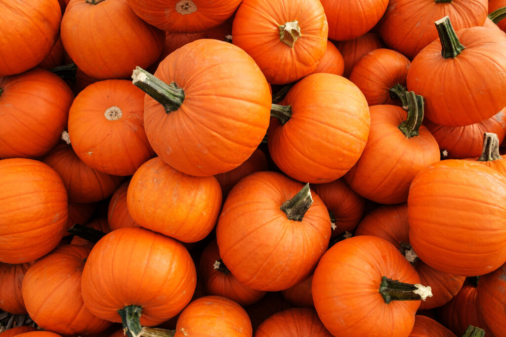 When Is National Pumpkin Day 2022