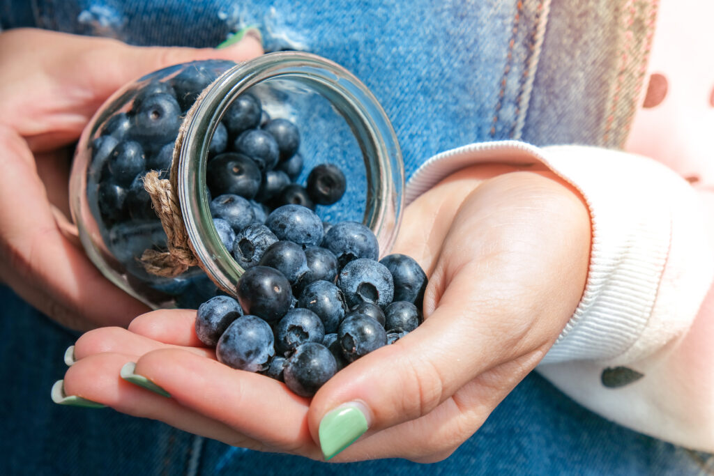 When Is National Blueberry Day