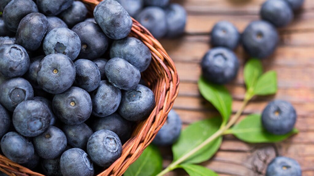 When Is National Blueberry Day