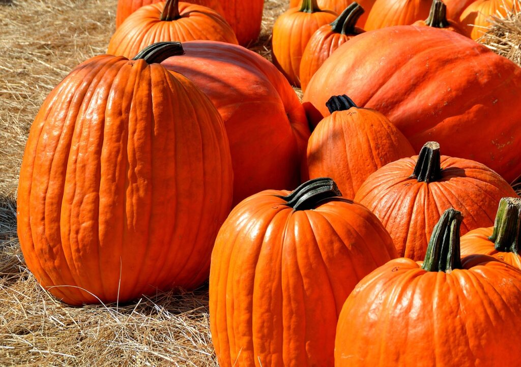 When Is National Pumpkin Day 2022