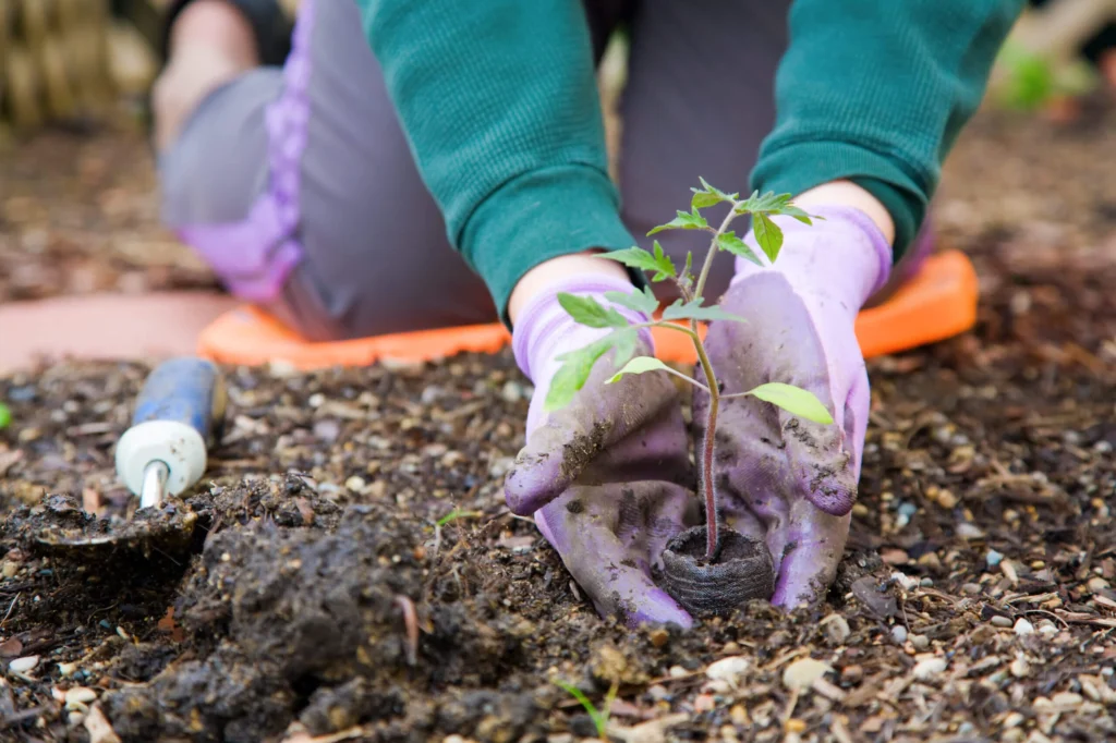 When Is National Gardening Day